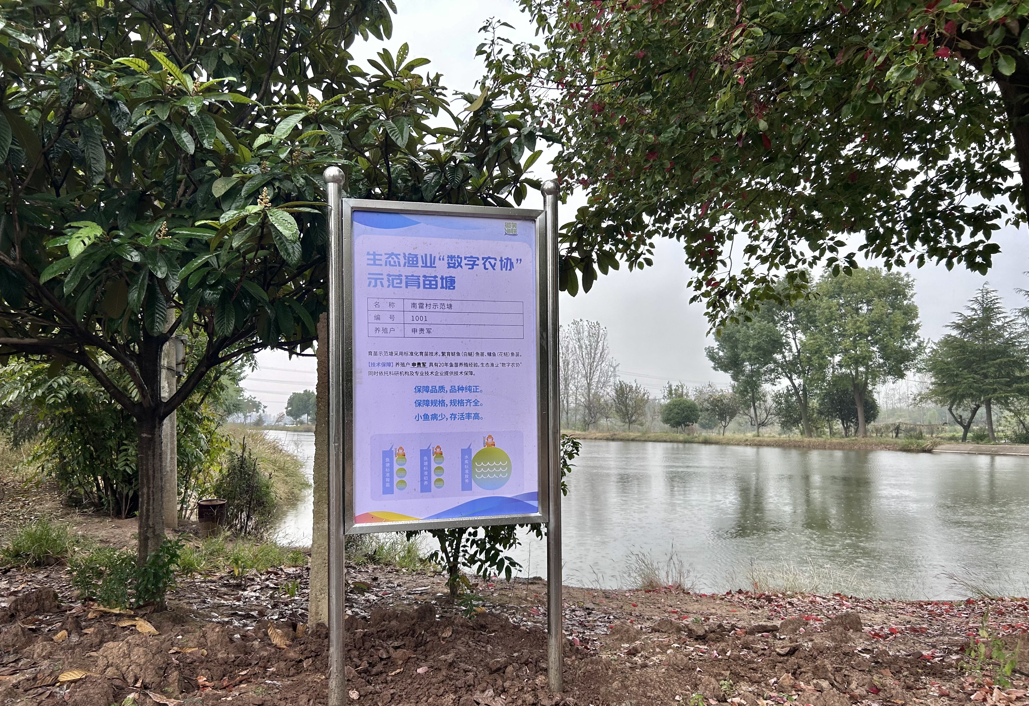 水库生态治理成效
